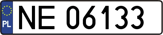 NE06133