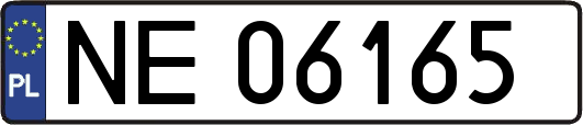 NE06165