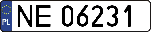 NE06231