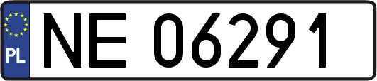 NE06291