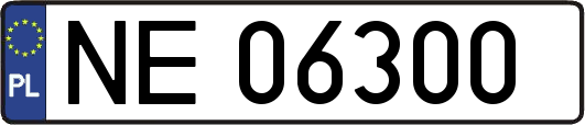 NE06300