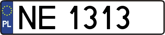 NE1313