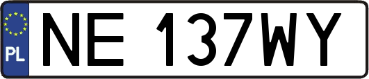 NE137WY