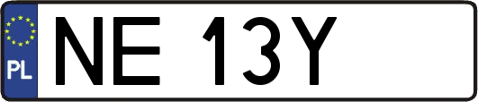 NE13Y