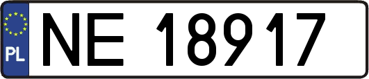 NE18917