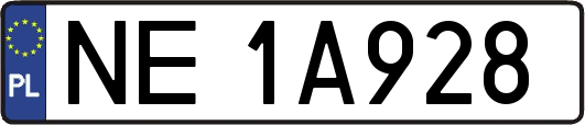 NE1A928