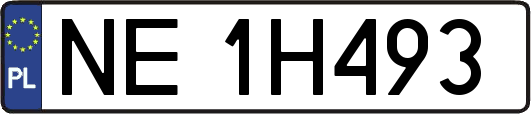 NE1H493