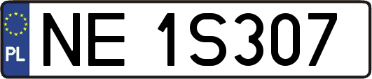 NE1S307