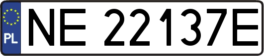 NE22137E