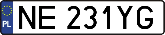 NE231YG