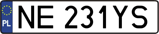 NE231YS