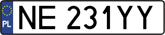 NE231YY