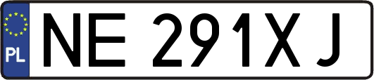 NE291XJ