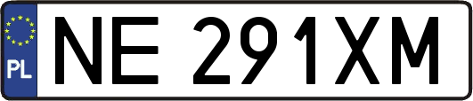 NE291XM