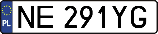 NE291YG