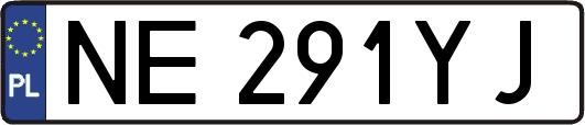 NE291YJ