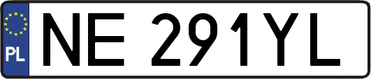NE291YL