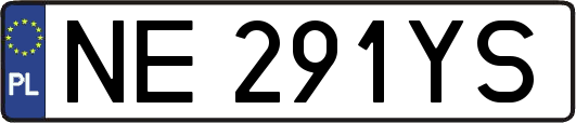 NE291YS