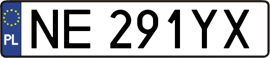 NE291YX