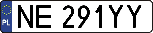 NE291YY
