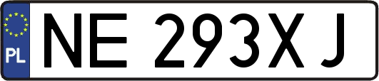 NE293XJ