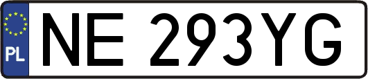 NE293YG