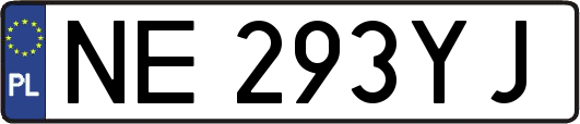 NE293YJ