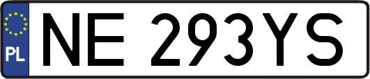 NE293YS