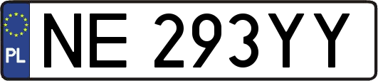 NE293YY