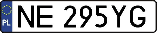 NE295YG