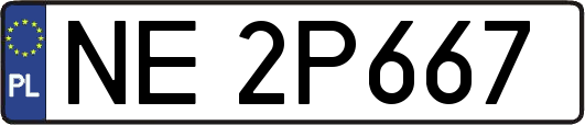 NE2P667