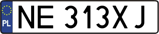NE313XJ