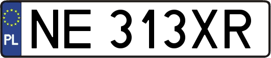 NE313XR