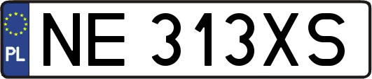 NE313XS