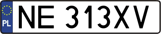 NE313XV