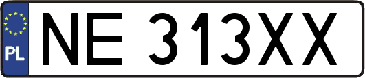 NE313XX