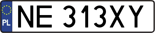 NE313XY