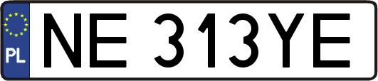 NE313YE