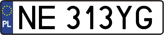 NE313YG