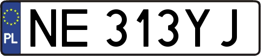 NE313YJ