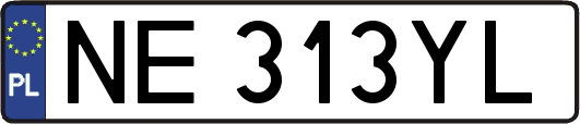 NE313YL