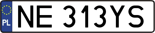 NE313YS