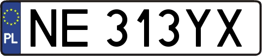 NE313YX