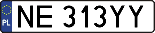 NE313YY