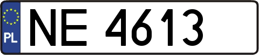 NE4613