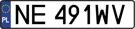 NE491WV