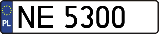 NE5300