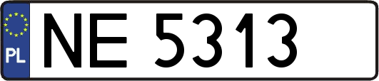NE5313