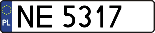 NE5317