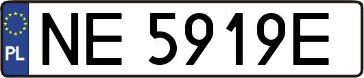 NE5919E